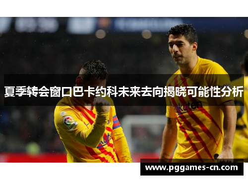 夏季转会窗口巴卡约科未来去向揭晓可能性分析