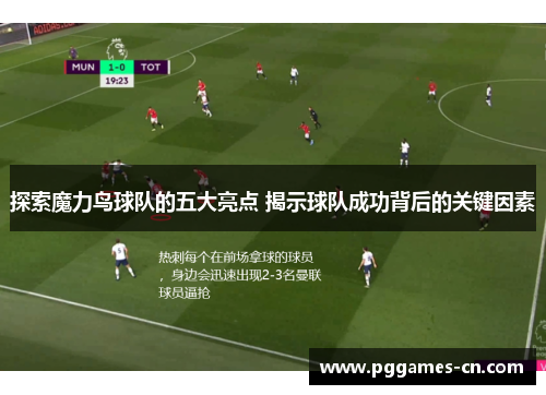 探索魔力鸟球队的五大亮点 揭示球队成功背后的关键因素