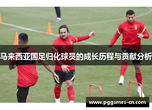 马来西亚国足归化球员的成长历程与贡献分析